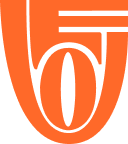 VEO 1